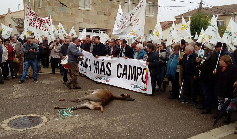 Vecinos y agricultores cortan la N-631 en protesta por los accidentes con ciervos y jabalíes